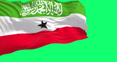 Rüzgarda dalgalanan Bahreyn bayrağı yeşil arka planda izole edilmiş. Kusursuz 3D canlandırma animasyonu. Krom anahtar. Yavaş çekim döngüsü. Yeşil ekran. 4 bin. Seçici odak