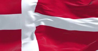 Danimarka ulusal bayrağı rüzgarda dalgalanıyor. Bayrağın kenarına uzanan beyaz İskandinav haçı olan kırmızı bayrak. Kusursuz 3 boyutlu animasyon. Yavaş çekim döngüsü. Seçici odak