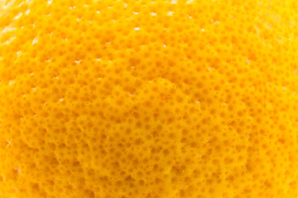 Orange closeup macro — Stock Photo, Image