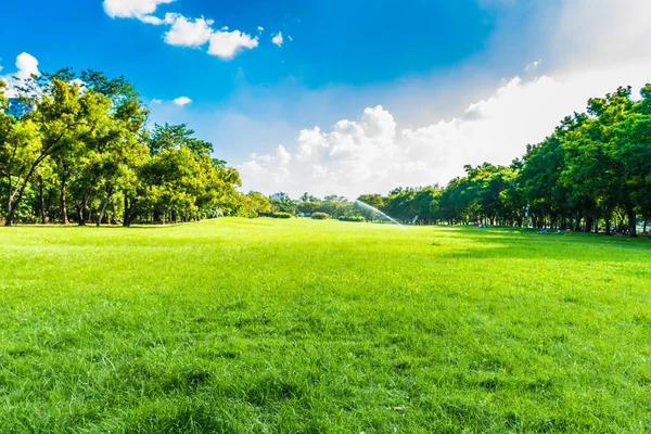 Árboles verdes en hermoso parque sobre el cielo azul Imágenes de stock libres de derechos