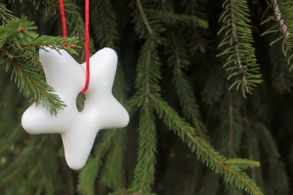 크리스마스 진저브레드 스타가 전나무 가지에 매달린 모양을 — 스톡 사진