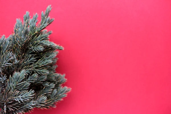 Christmas Background Fir Branches Christmas Tree Red Backdrop Top View — 스톡 사진