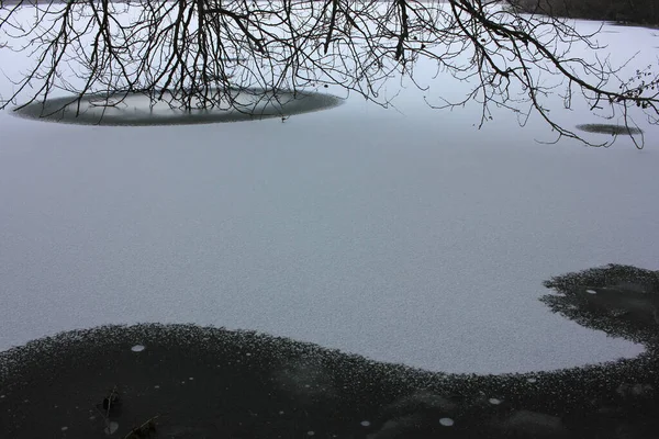 冬の木 木の枝が水の中で凍った 雪に覆われた氷の川と木の風景冬の風景 — ストック写真