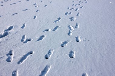 İnsanlar taze kar üzerinde ayak izleri bırakırlar. Doğal doku arkaplanı