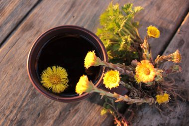 Daha güçlü bir bağışıklık sistemi için bir fincan şifalı bitki çayı. Tussilago farfara ve ısırgan otuyla birlikte eski ahşap masa zemininde bahar kolesistektomi çiçeği. Üst Manzara. Düz yatıyordu 