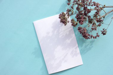 Mor çiçek ve mavi arka planda boş tebrik kartı. Renkli arka planda bitki olan davetiye modeli. Üst görünüm, alanı kopyala.