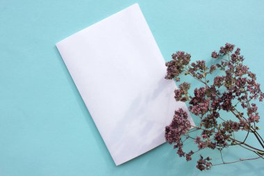 Mor çiçek ve mavi arka planda boş tebrik kartı. Renkli arka planda bitki olan davetiye modeli. Üst görünüm, alanı kopyala.