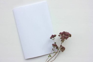 Mor çiçek ve beyaz arka planda boş tebrik kartı. Masaüstünde bitki olan davetiye modeli. Üst görünüm, alanı kopyala.