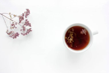 Bir fincan bitkisel kekik çayı ve beyaz masa arkaplanında kuru marjoram çiçekleri ve fotokopi alanı. Üst Manzara. Düz konum