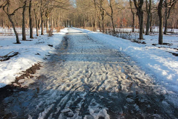 Грязь Бруд Дорозі Від Танення Снігу Парковій Дорозі Під Час — стокове фото