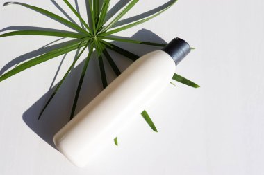 Sahte şampuan şişesi ya da balsam ve beyaz masa arkasında yeşil palmiye yaprakları. Sert ışık, gölge. Cilt ve vücut bakımı için organik güzellik ürünleri. Yaz yaşam tarzı. Üst görünüm, alanı kopyala