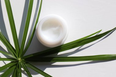 Bir mockupbottle doğal şampuan ya da balsam ve beyaz masa arkasında yeşil palmiye yaprakları. Sert ışık, gölge. Cilt ve vücut bakımı için organik güzellik ürünleri. Yaz yaşam tarzı. Üst görünüm, alanı kopyala