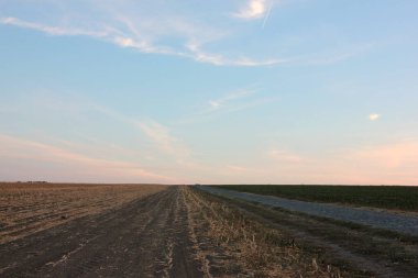 Sahada gün batımı. Sonbahar tarlası ekimi, yol, mavi ve pembe gökyüzü