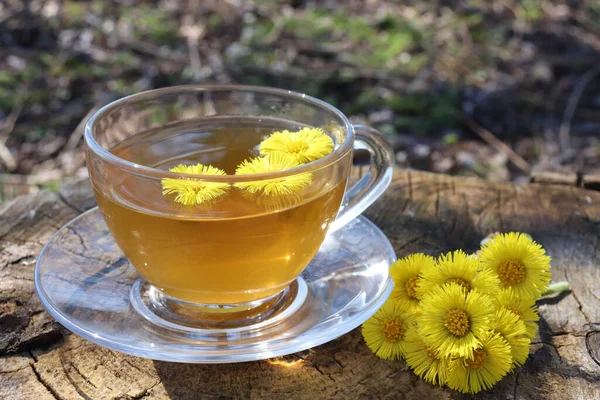 Taza Verde Con Flores Amarillas Útil Antiinflamatorio Hierbas Plantas Medicinales — Foto de Stock