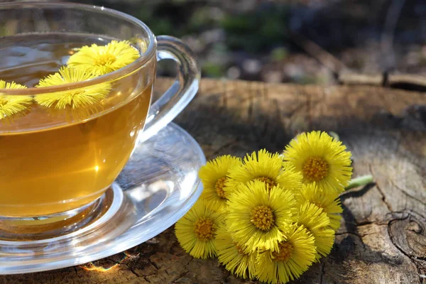 Cup of green tea with yellow flowers. Useful anti-inflammatory herbal tea from medicinal plants in glass cup on a wooden stump background outdoors