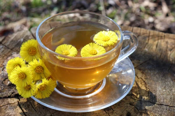 Taza Verde Con Flores Amarillas Útil Antiinflamatorio Hierbas Plantas Medicinales — Foto de Stock