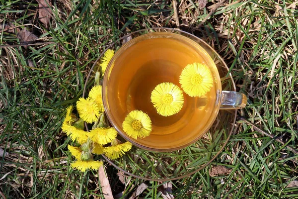 Taza Verde Con Flores Amarillas Útil Antiinflamatorio Hierbas Plantas Medicinales — Foto de Stock