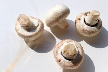 Beyaz masa arkasında çiğ şampiyon mantarları. Üst görünüm, boşluğu kopyala. Sert ışık, gölge