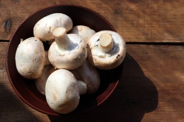 Kahverengi seramik kasede tahta masa arkasında çiğ şampiyon mantarları. Üst görünüm, boşluğu kopyala. Sert ışık, gölge