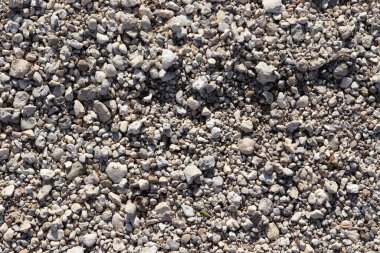 Beyaz ve gri çakıl taşlı arka plan. Sahilde taşlar.