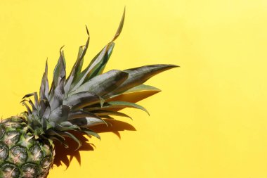 Sarı arka planda ananas. Tropikal egzotik meyveli yaz arkaplanı. Üst görünüm, boşluğu kopyala. Sert ışık, gölge. Düz yerde yemek vardı.