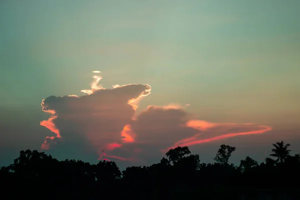 Una Bella Serata Tramonto Dorato Sul Villaggio Sugli Alberi — Foto Stock