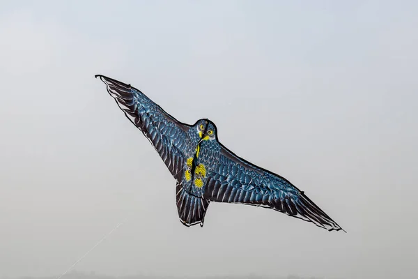 凧は青い空の近くの鳥のように飛んでいる — ストック写真