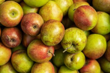 Köy pazarı dükkanına, elma bahçesine, Kul Boroi 'ye veya kırmızı ve yeşil jujube' ye pek çok renk ekşi kul veya erik yakın çekim