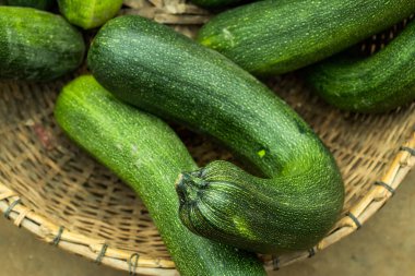 Kabak ya da Cucurbita, Cousa Squash, Tatume Squash, Palamut