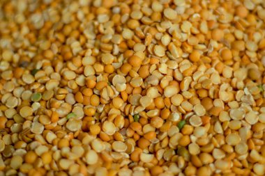 Sarımsaklı nohut gibi baklagiller genelde garbanzo fasulyesi, nohut ya da Chana Dal olarak bilinir.