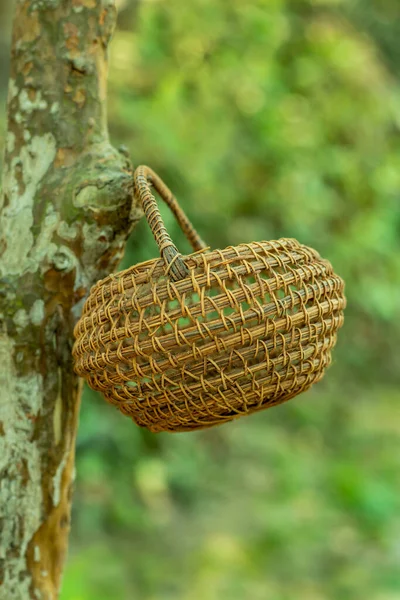 Small Beautiful Basket Made Bamboo Cane Other Materials Also Called — Stock Photo, Image