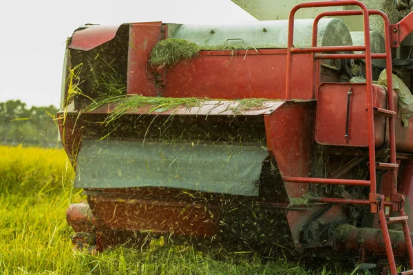 Large Special Vehicle Cutting Threshing Raw Ripe Paddy — Stock Photo, Image