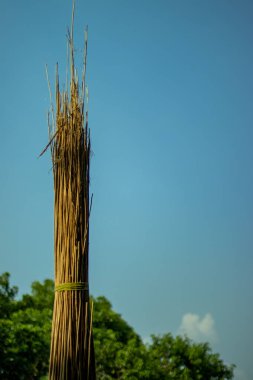 Dieselwood 'un yedeği olarak jüt çubuğu. Dahası, Jute çubukları çeşitli amaçlar için çok kullanışlı bir malzemedir.