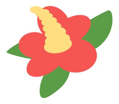 Yeşil yapraklı kırmızı kamelya ikonu, Jeju adasının Kore egzotik çiçeği.