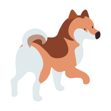 Köpek Tek Başına, Evcil Hayvan İzole, Evcil Hayvan