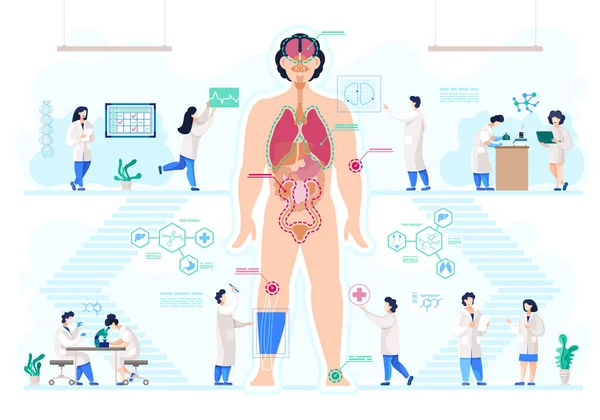 Laboratoire médical, Organes bioartificiels, Anatomie — Image vectorielle
