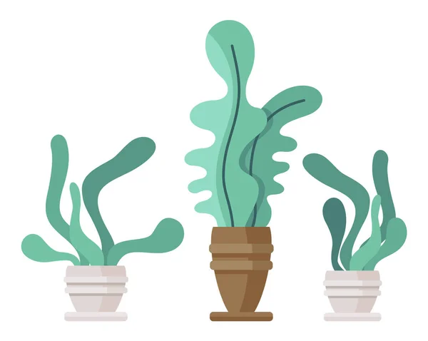 Plantas de salón en macetas de cerámica aisladas en fondo blanco, plantas de interior decorativas, decoración para habitación — Vector de stock