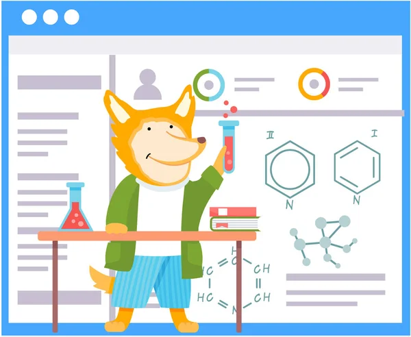 A fox schoolboy with test tube in hands in chemistry class. Back to school, education theme