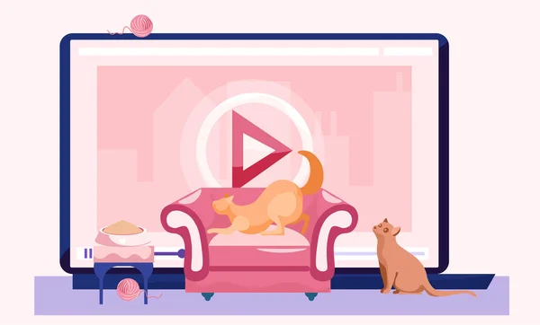 Video blog para dueños de mascotas, tutorial sobre cómo mantener y alimentar a los gatos en casa, divertidas historias de animales — Vector de stock
