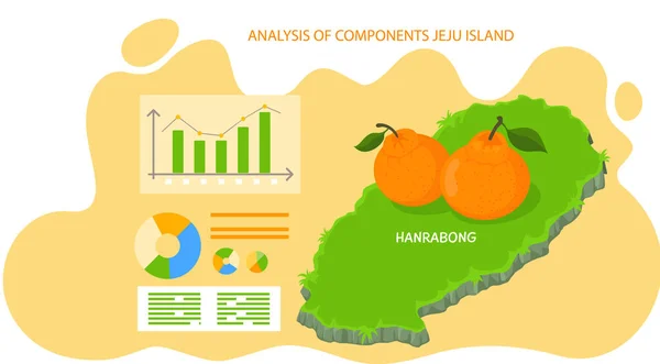 Analisi dei componenti dell'isola di jeju, poster con statistiche dei turisti che visitano la piantagione di mandarini — Vettoriale Stock