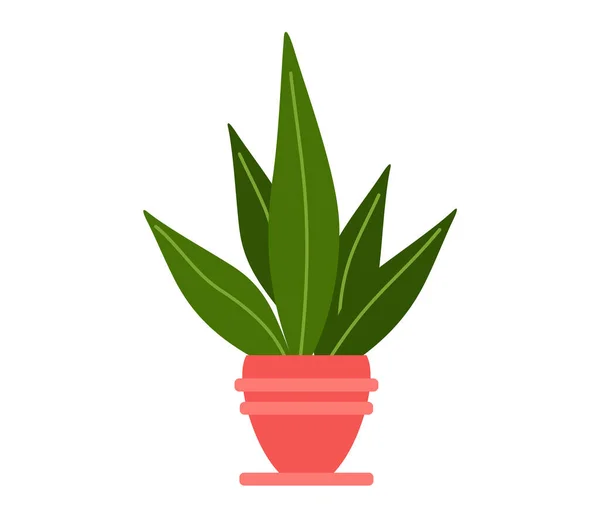 Planta verde decorativa com folhas longas em vaso cerâmico, vaso com planta de sala. Casa planta interior —  Vetores de Stock