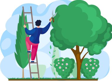 Gardeners work in garden worker with scissors cuts big green tree and shrub, take care of plants