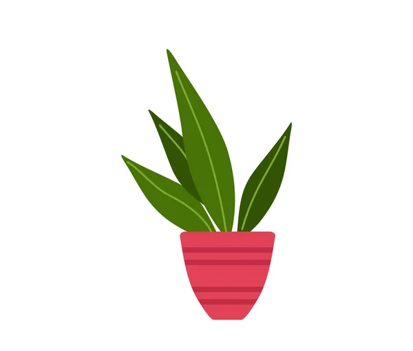 Planta verde decorativa com folhas longas em vaso cerâmico, vaso com planta de sala. Casa planta interior —  Vetores de Stock
