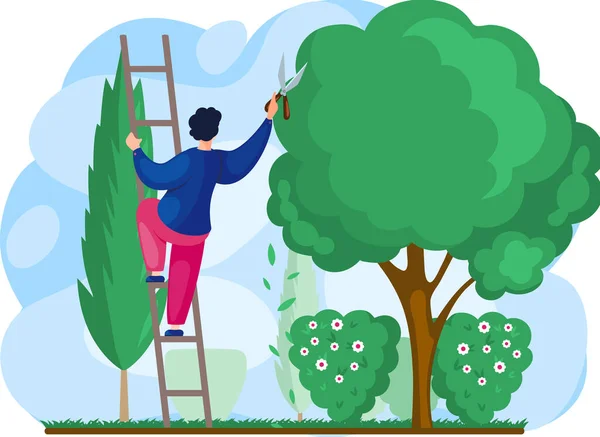 Gardeners work in garden worker with scissors cuts big green tree and shrub, take care of plants — Stock Vector