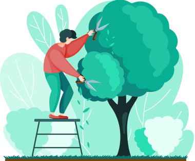 İnsan bitkileri makasla keser. Profesyonel bahçe işçisi arka bahçede çalılarla ya da ağaçlarla çalışıyor.