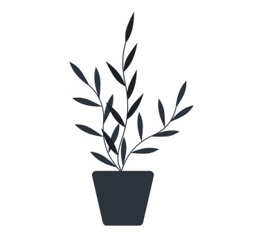 Seramik kapta uzun yapraklı dekoratif siyah bitki, saksıda saksı. Ev içi fabrika