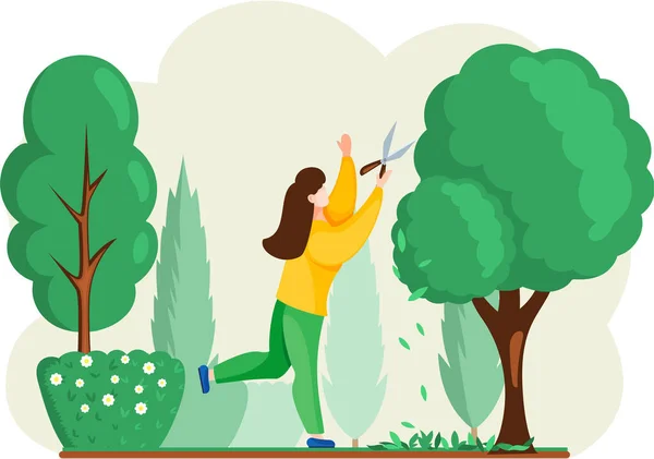 Gardener works in garden woman with scissors cuts big green tree and shrub, takes care of plants — Stock Vector