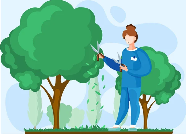 Gardener works in garden woman with scissors cuts big green tree and shrub, takes care of plants — Stock Vector