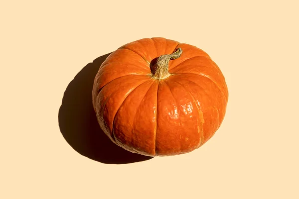 Autumn orange pumpkin closeup on a beige background on bright sunny day, top view. Concept for the beginning of autumn harvesting, holidays Thanksgiving, Halloween, invitation card mockup.