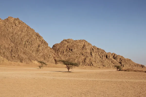 Montanha no deserto — Fotografia de Stock